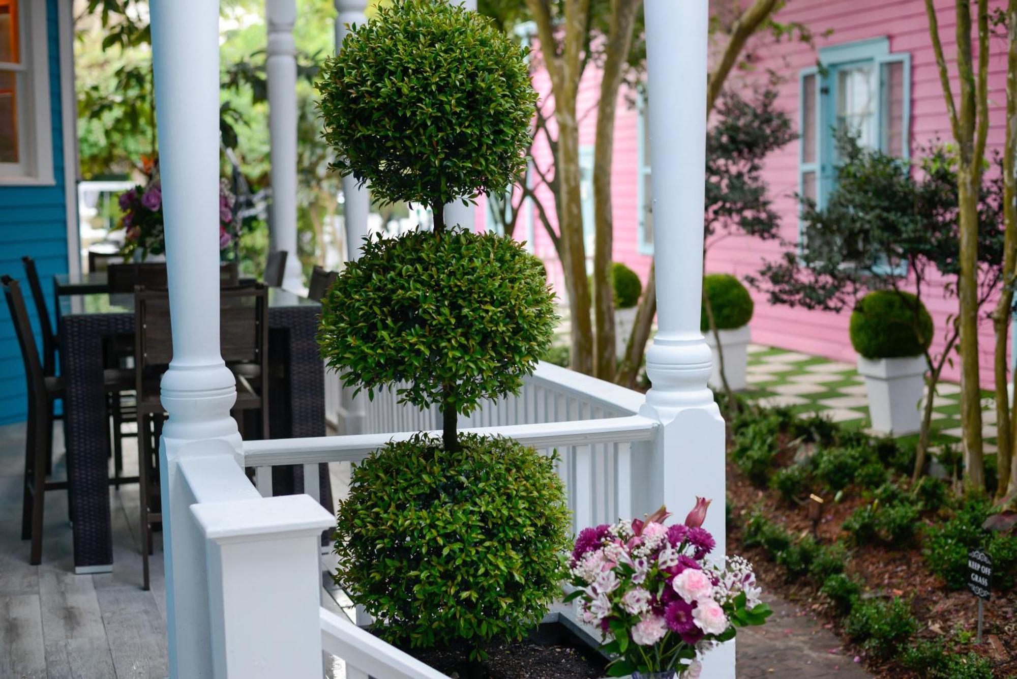 4 Bedroom - Sleeps 8! Celebrity Villa Next To Frenchman St New Orleans Bagian luar foto